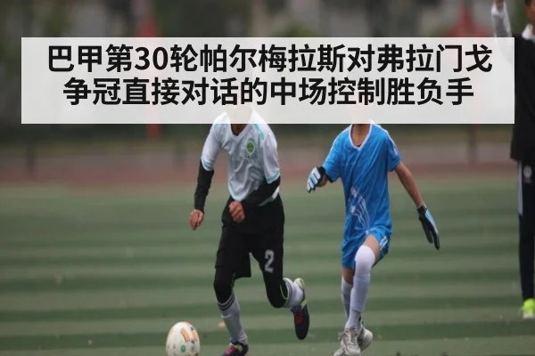 巴甲第30轮帕尔梅拉斯对弗拉门戈争冠直接对话的中场控制胜负手